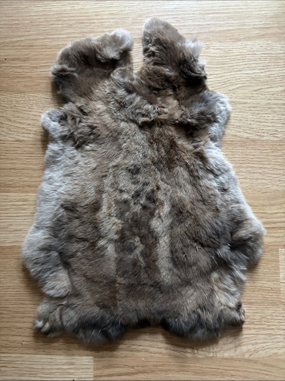 C0027 Rex rabbit hide